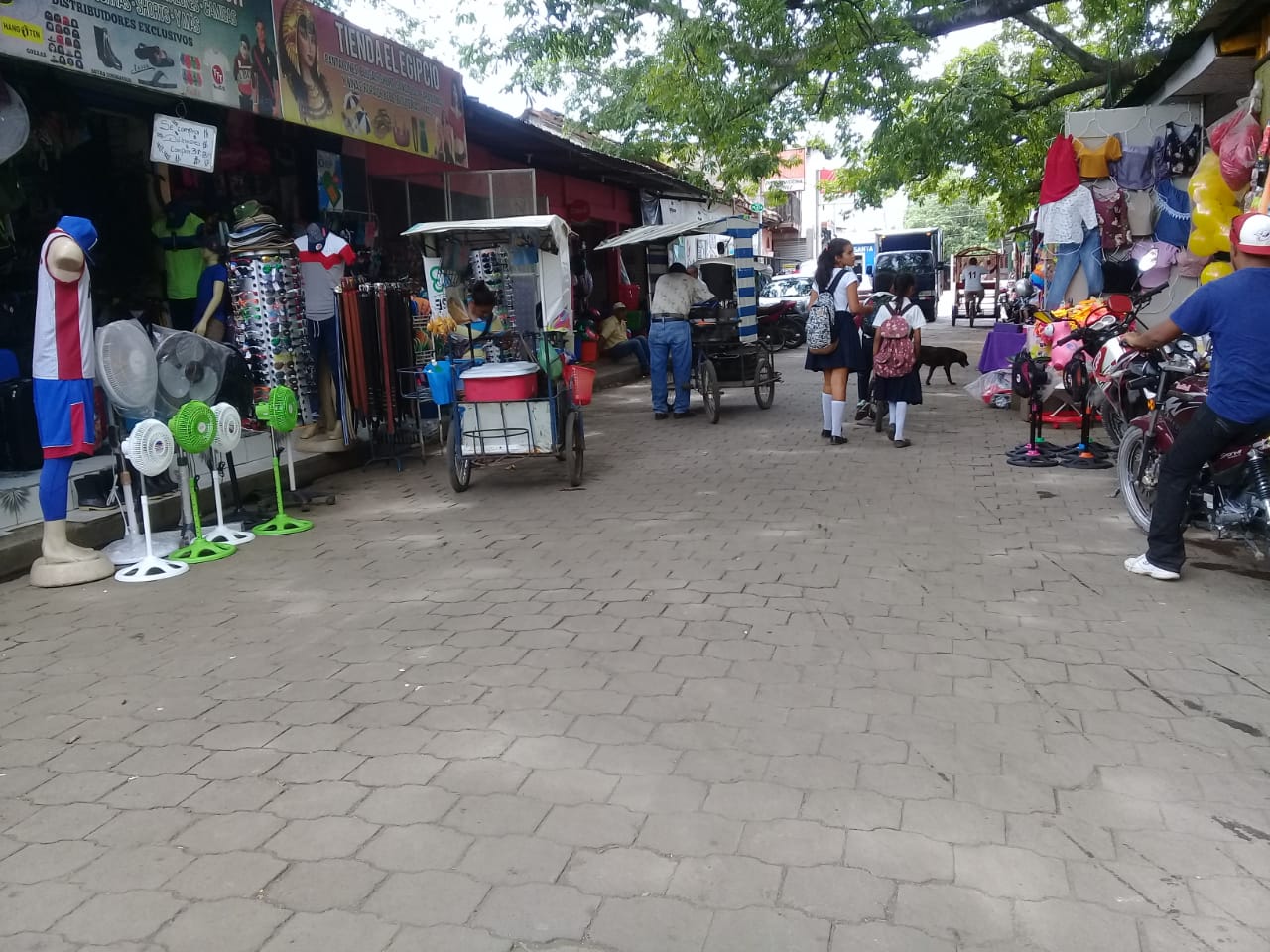 rey1